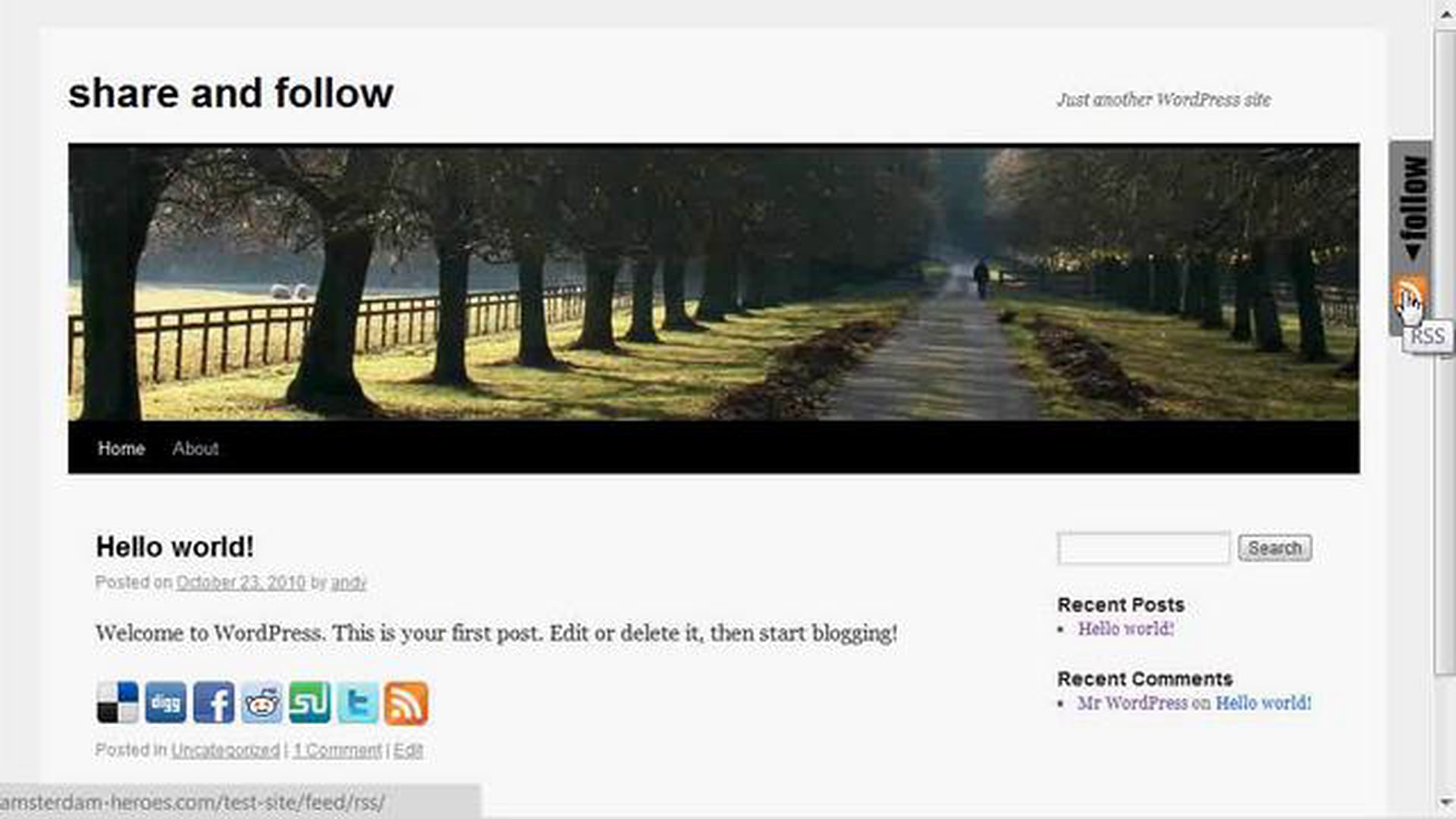 Overview of how Share and Follow WordPress Plugin works