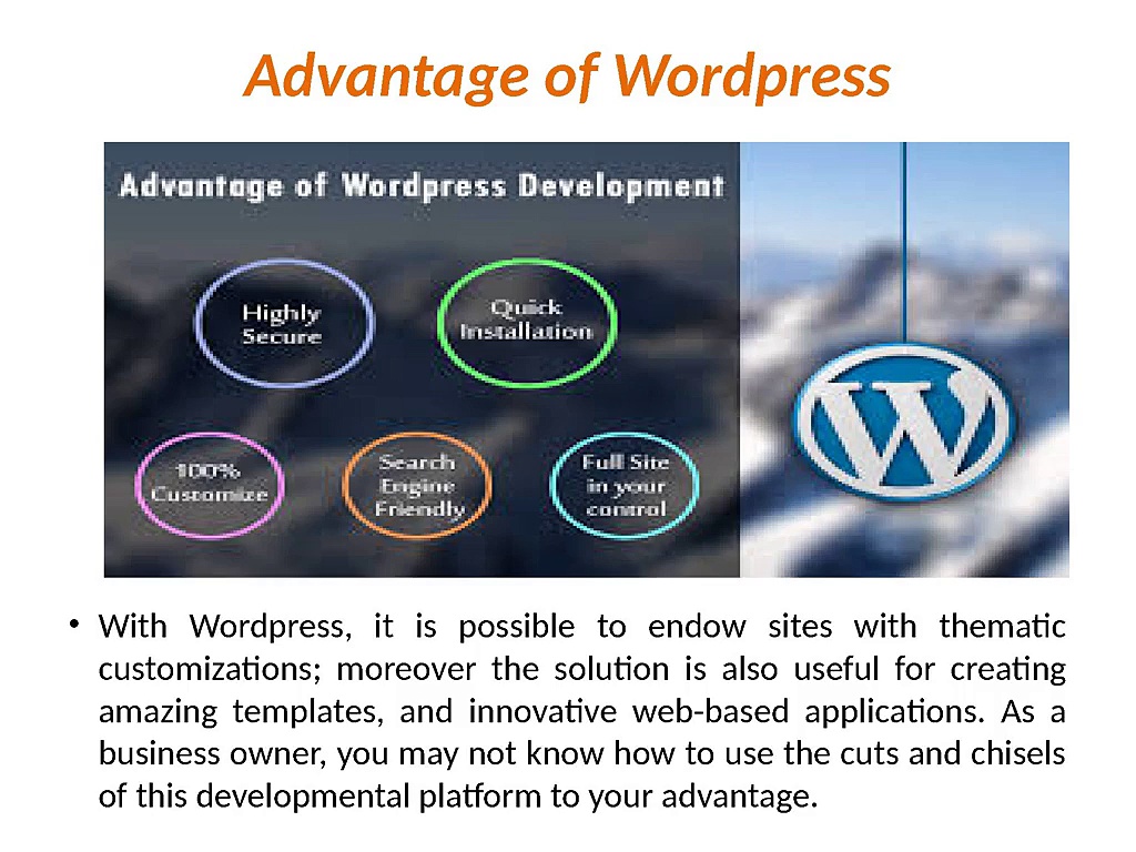 How to Choose an Efficient WordPress Development Company in India