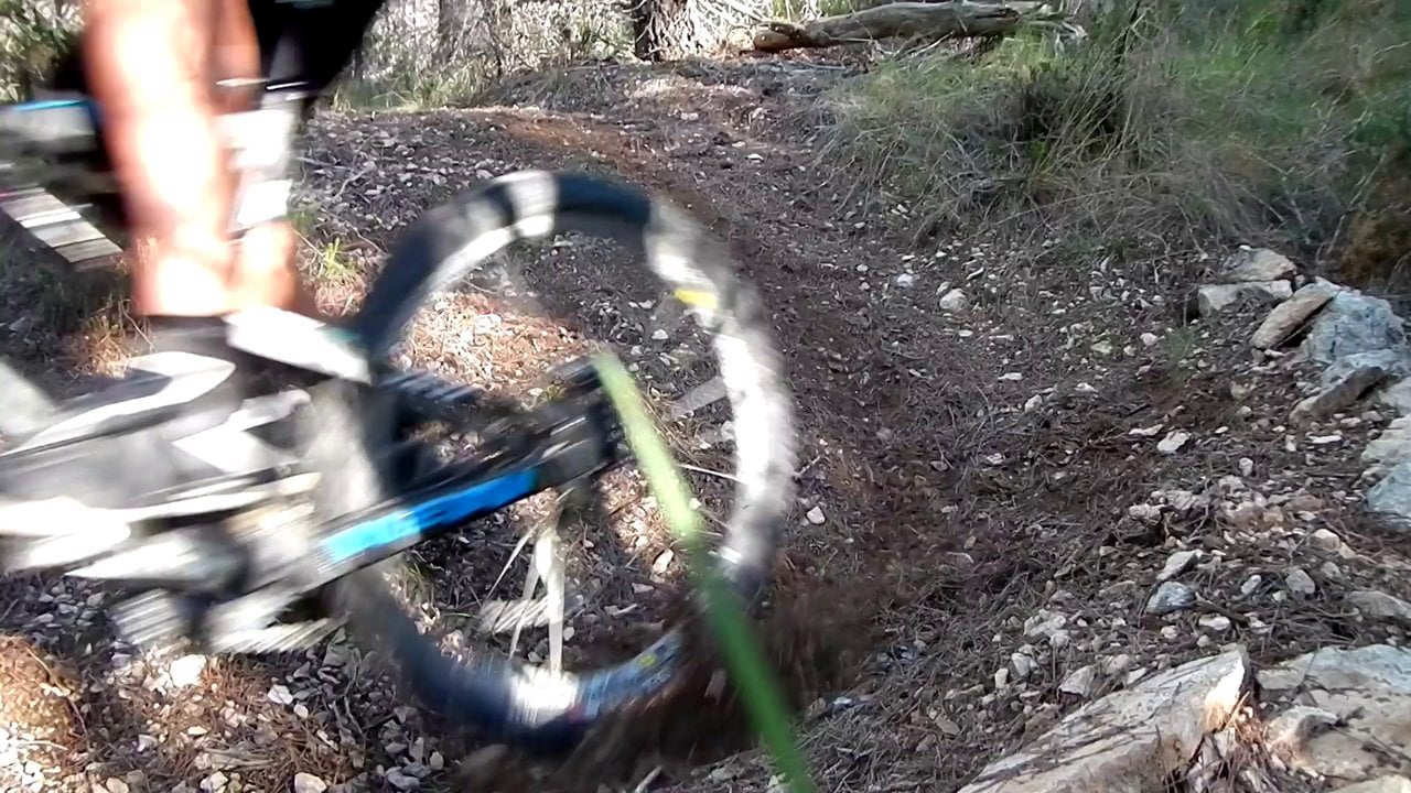 Riding In the Woods
