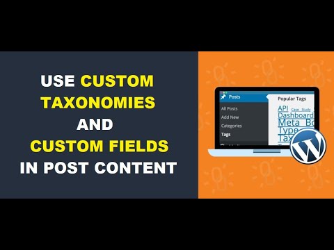 Use Custom Taxonomies and Custom Fields in Automatic Content Editing – Kraken plugin update