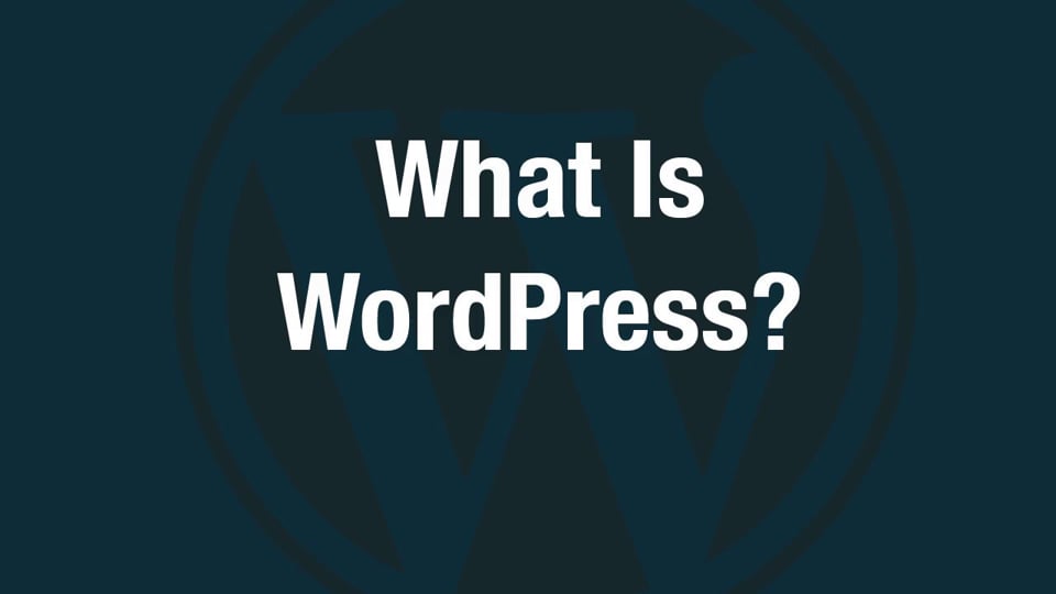 What Is WordPress?