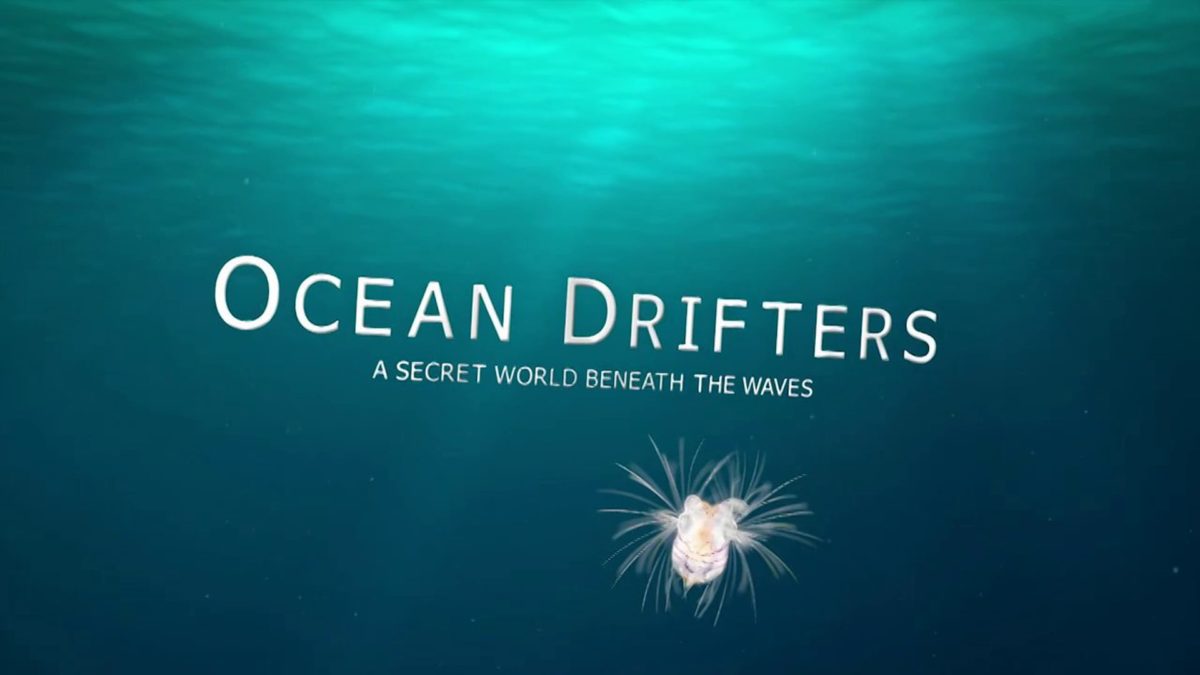 Ocean Drifters