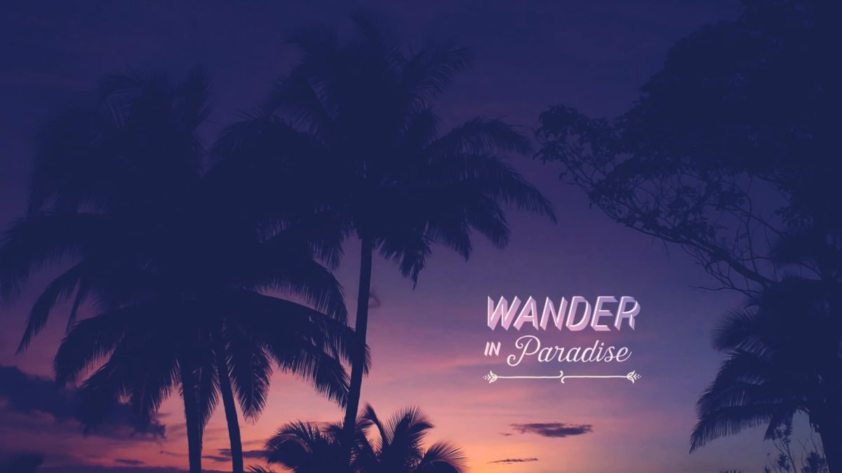 WANDER IN PARADISE | Treasured Memories from Playa Junquillal, Guanacaste, Costa Rica