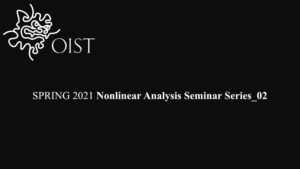 SPRING 2021 Nonlinear Analysis Seminar Series_02
