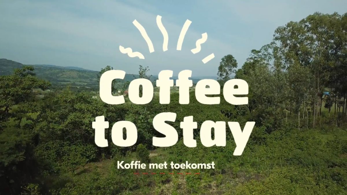 Coffee to Stay, een introductie