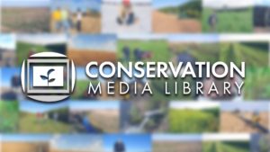 The Conservation Media Library