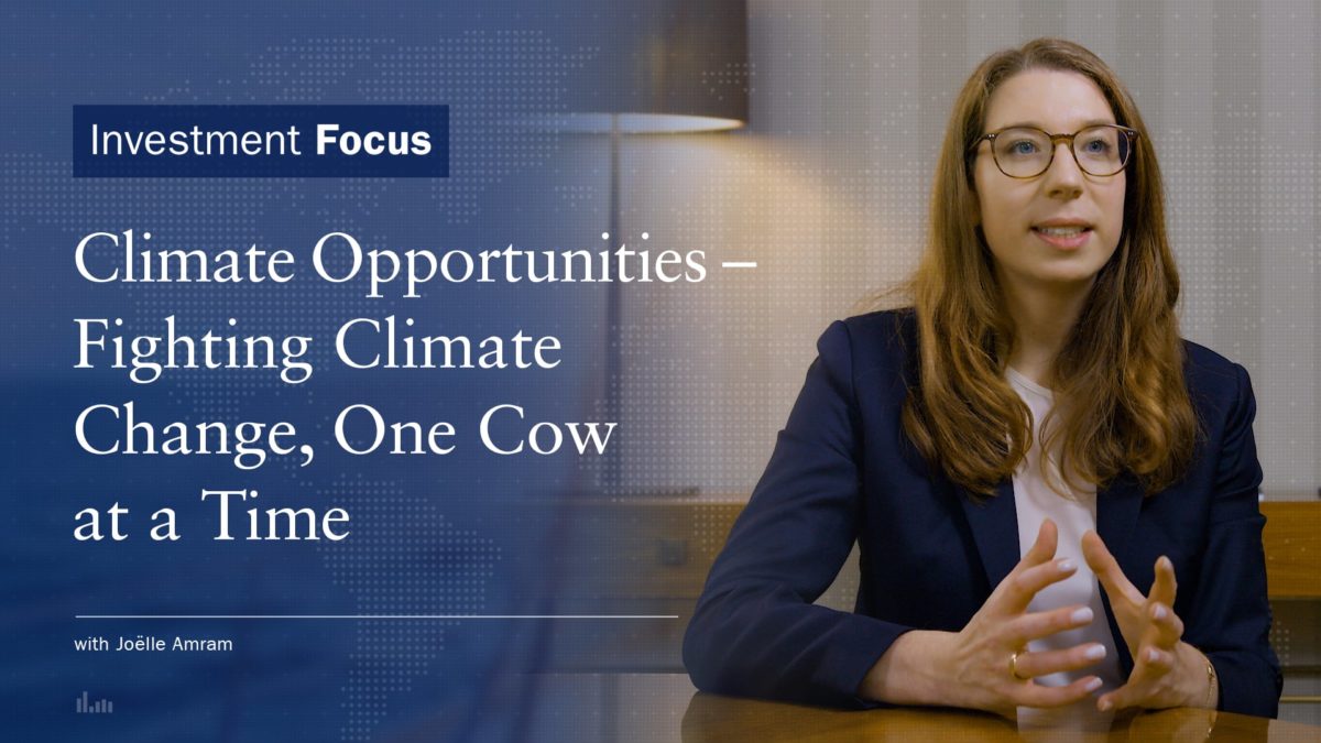 Investment Focus | Climate Opportunities – Fighting Climate Change, One Cow at a Time