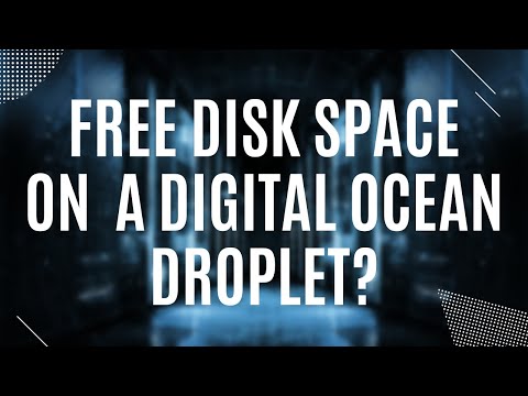 How to check how much free disk space do you have on your Digital Ocean droplet?