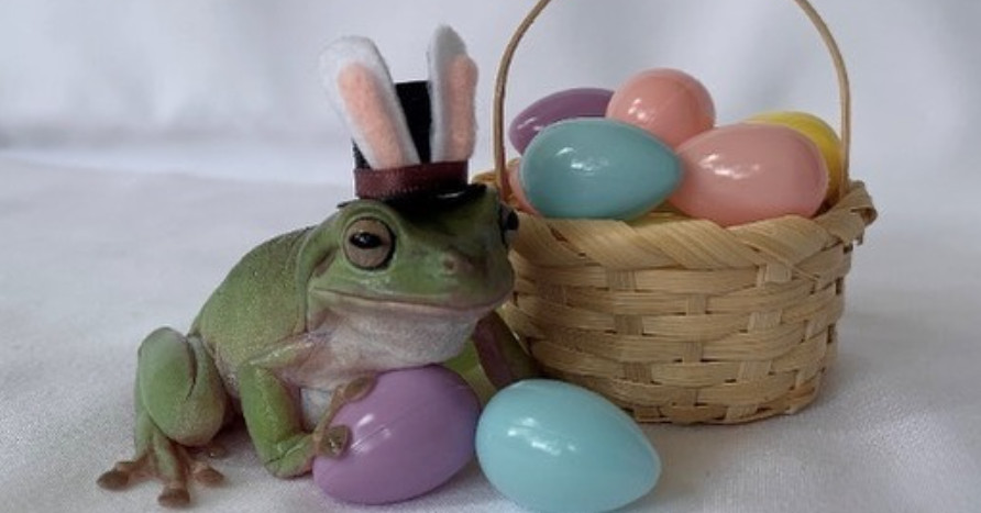 All Hail Betty The Treefrog, Our New Easter Bunny