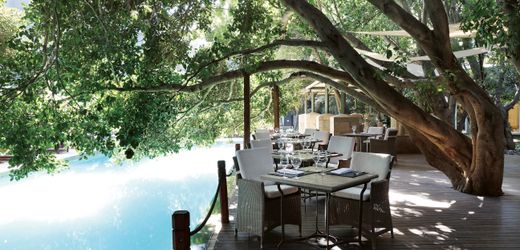 sudafrika-als-workation-tipp:-business-und-big-five