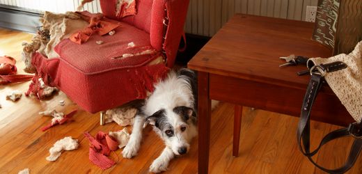 (hbm+)-krisenkommunikation:-was-tun,-wenn-ihr-team-ihnen-die-schuld-gibt?