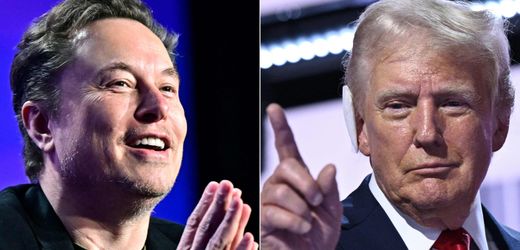 donald-trump:-wie-elon-musk-ihn-im-gesprach-auf-x-seine-lugen-verbreiten-lasst