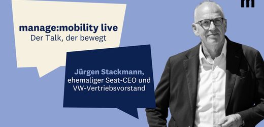 e-autos,-agentur-und-angst-vor-china-–-das-milliardenrisiko-autovertrieb