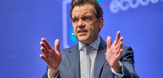 baupromi-christoph-groner-entwischt-privatpleite-–-„totgesagte-leben-langer“