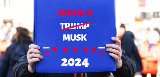 elon-musk-spricht-sich-fur-afd-aus