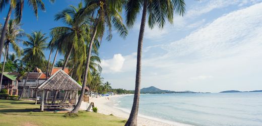 workation-in-thailand:-remote-work-fur-set-jetter