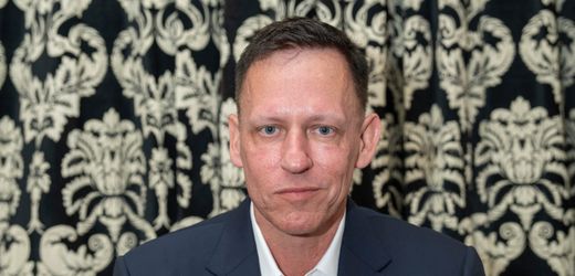 (m+)-donald-trump:-wie-peter-thiel-seine-verbundeten-beim-neuen-us-prasidenten-installiert