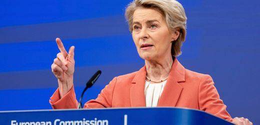 ai-act:-eu-setzt-regeln-fur-den-umgang-mit-ki-in-kraft