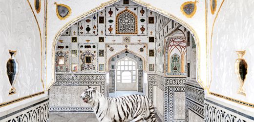 (hbm+)-ki-transformation:-personalisierung-bei-spotify,-cisco-und-pandora