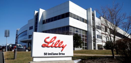 eli-lilly:-abnehmspritzen-hersteller-erwartet-2025-fast-verdoppelten-gewinn