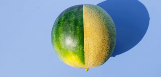 (hbm+)-werte-im-job:-eine-orientierungshilfe-fur-menschen-und-organisationen