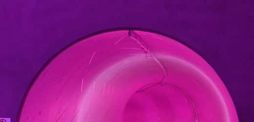 elon-musk:-tesla-ceo-will-tunnelnetz-in-dubai-bauen