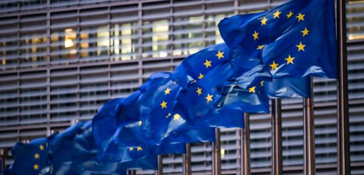 bip-eurozone:-wirtschaft-wachst-ende-2024-leicht,-deutschland-bleibt-zuruck