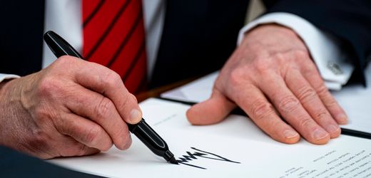 meinung:-handelskonflikt-mit-usa:-trumps-okonomischer-masterplan