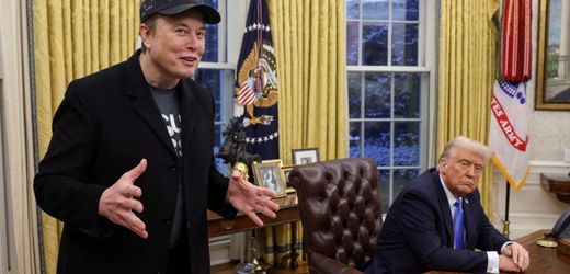 elon-musk:-prasidentenberater-ohne-entscheidungsbefugnis-in-us-behorden