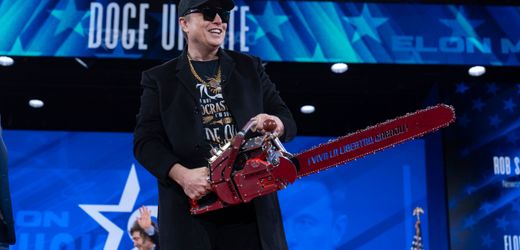 doge:-mitarbeiter-von-elon-musk-kundigen,-um-regierungssysteme-zu-schutzen