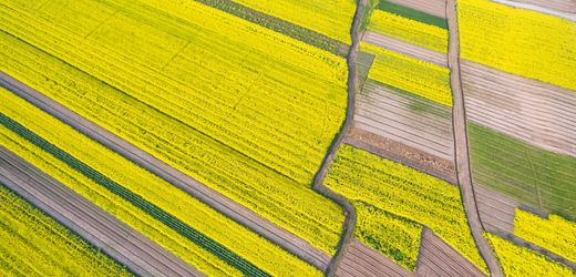 vermogen:-warum-alleinerben-die-wirtschaft-schwachen