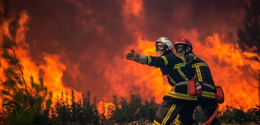 swiss-re:-trotz-branden-in-la-starker-gewinn-und-dividendenanhebung