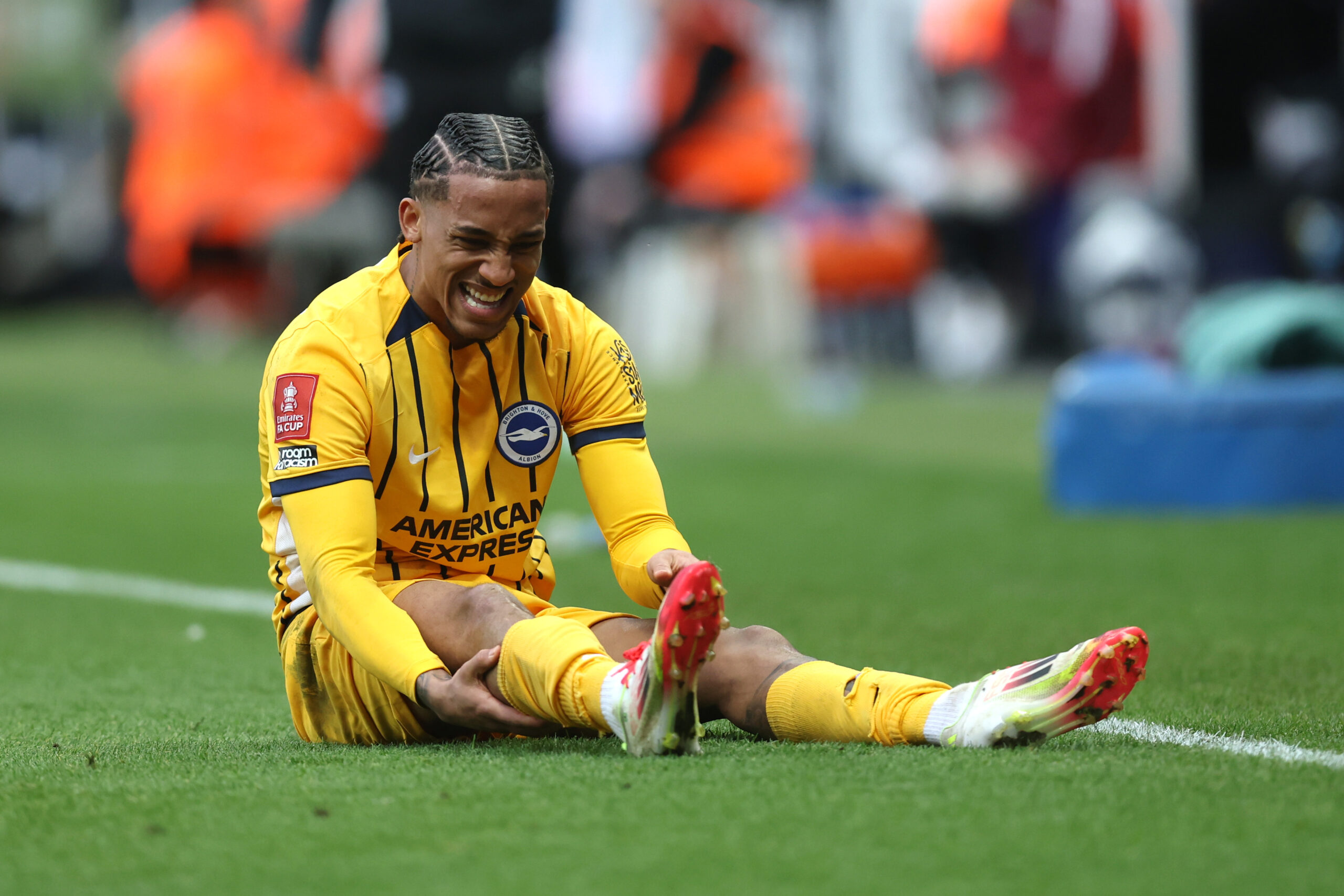 liverpool-want-to-sign-this-brigton-and-hove-albion-attacker:-why-do-they-need-him?