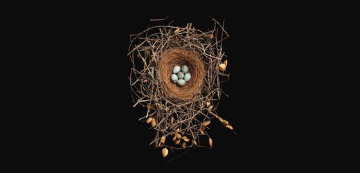 (hbm+)-pravention:-wie-arbeitssicherheit-ihren-gewinn-erhoht