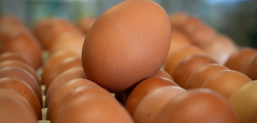 hohe-eierpreise:-usa-bitten-europaische-lander-um-eier