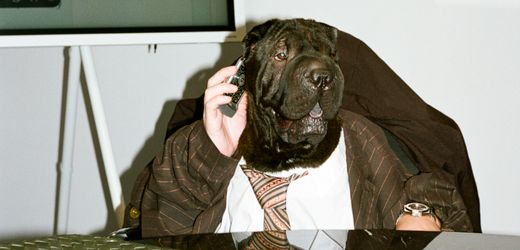 (hbm+)-job-crafting:-wie-unternehmen-jobs-attraktiver-gestalten-konnen