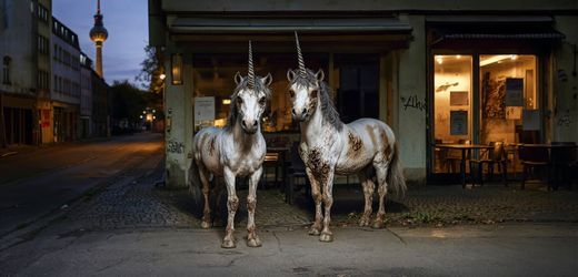 (m+)-start-up-zombies:-ehemalige-hoffnungstrager-forto,-sorare-und-xentral-droht-absturz