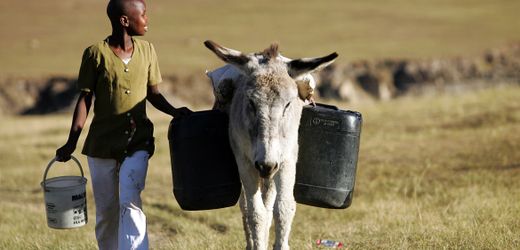 landerliste-mit-zollsatzen-im-uberblick:-diese-lander-will-trump-bestrafen