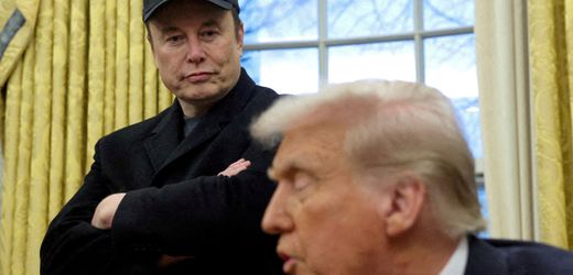 musk-beschimpft-trumps-zoll-architekten-als-»dummer-als-ein-sack-ziegel«-(kopie)