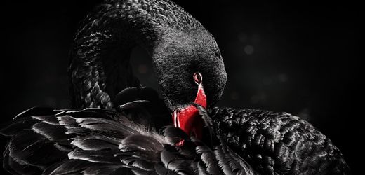 (hbm+)-krisenmanagement:-durchs-chaos-navigieren