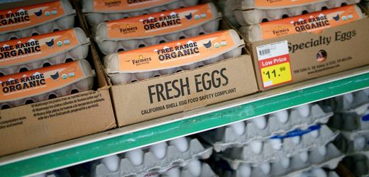 kurz-vor-ostern:-eierpreise-steigen-in-den-usa-auf-rekordhoch