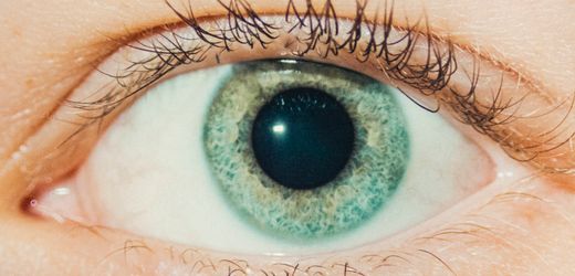 mitarbeitergesprache:-intensiver-blickkontakt-als-motivationsstrategie