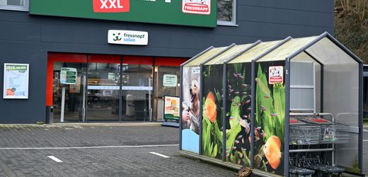 fressnapf:-tierfutterhandler-holt-florian-wieser-von-engel-&-volkers-als-finanzchef-(cfo)