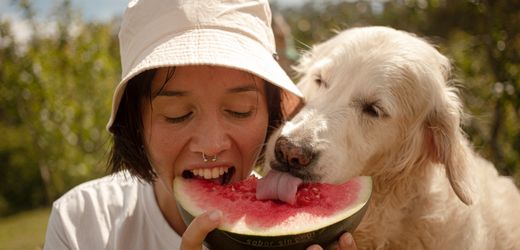 (hbm+)-mit-welchen-tricks-sie-das-beste-fur-alle-herausholen