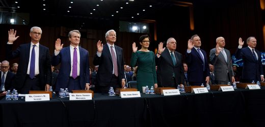 (m+)-donald-trump-und-die-borse:-die-gewinner-des-finanzchaos