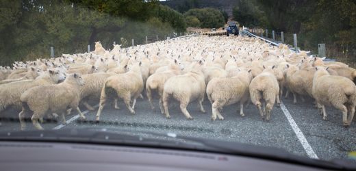 mit-vertical-slicing-zerschneiden-sie-projekte-wie-einen-kuchen