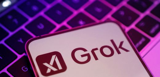 ki-chatbot-von-elon-musk:-grok-macht-„programmierfehler“-fur-holocaust-leugnung-verantwortlich