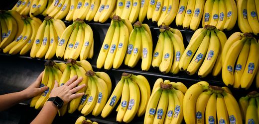 chiquita-will-wegen-streik-in-panama-tausende-arbeiter-entlassen