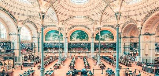 (hbm+)-welchen-typ-braucht-ihr-unternehmen?