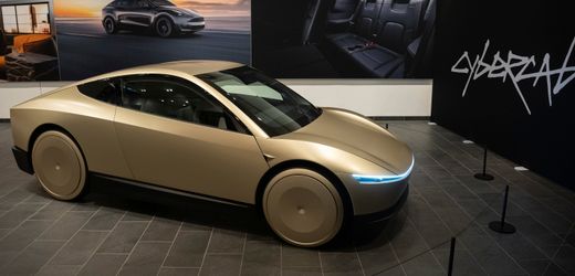 tesla:-elon-musk-will-robotaxi-dienst-noch-diesen-monat-starten